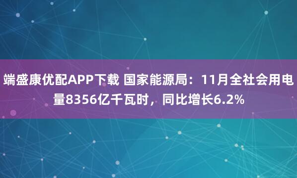 端盛康优配APP下载 国家能源局：11月全社会用电量8356亿千瓦时，同比增长6.2%