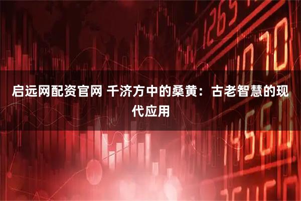 启远网配资官网 千济方中的桑黄：古老智慧的现代应用